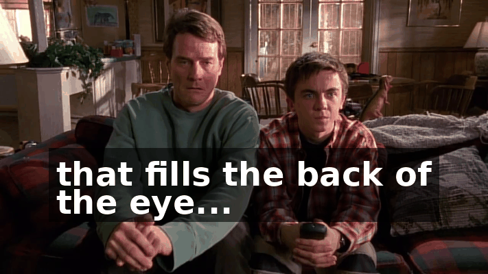 89afdbb6-0630-4b91-a942-0014ff061399.gif
