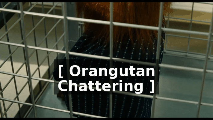 09ab7e58-9859-48d5-a117-2910e21f45fe.gif
