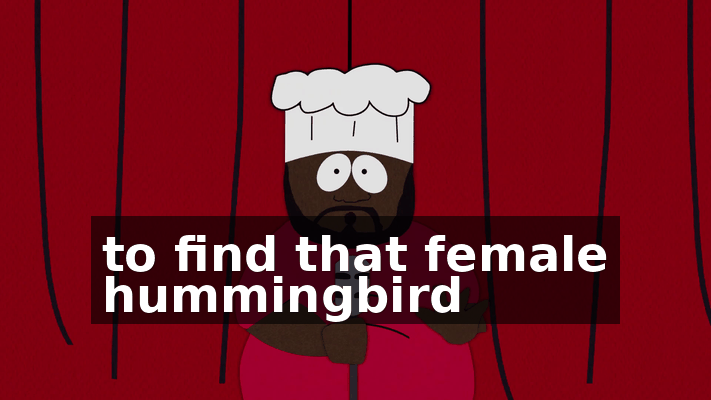 bd43c406-d253-4bda-8034-560f706eac6d.gif
