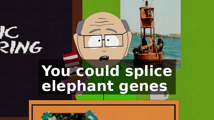 2d2ce46b-c2a5-41f8-a733-5480d42f6349.gif
