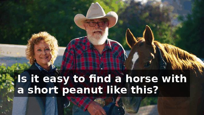 ab3b4179-0866-453c-b70b-1c7bd1709056.gif