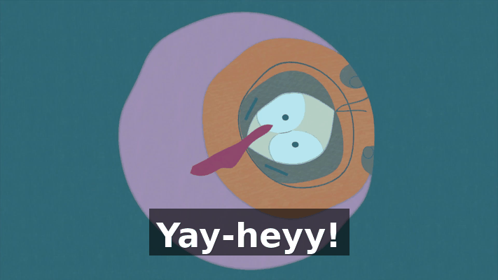 2101d2c4-2aa6-4d33-b645-61d3545bbe4f.gif