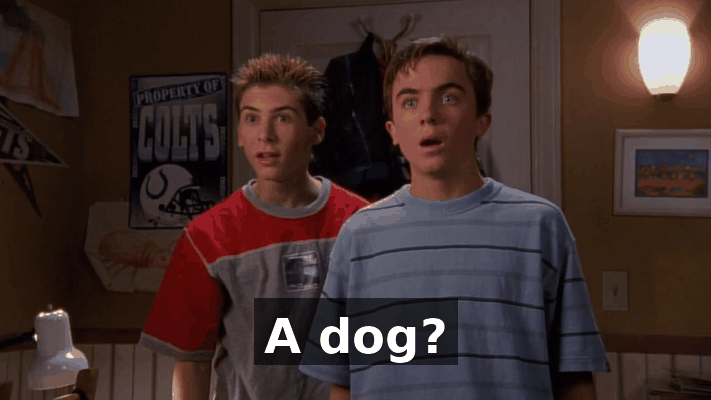 7d0b4dd1-d177-465f-b4d7-4d7df02c96fa.gif