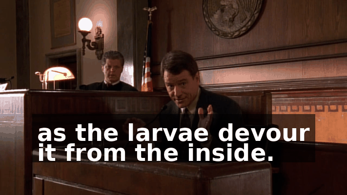 ecbeb42e-4b5c-4996-a015-77efab7f3d28.gif