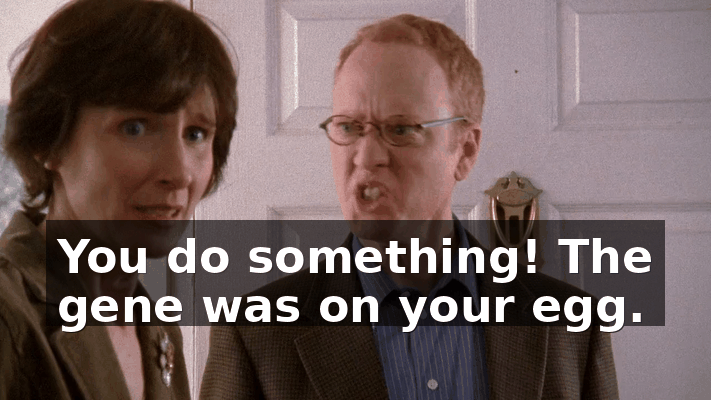 b383f904-c986-4742-9e0c-53924e8f6461.gif