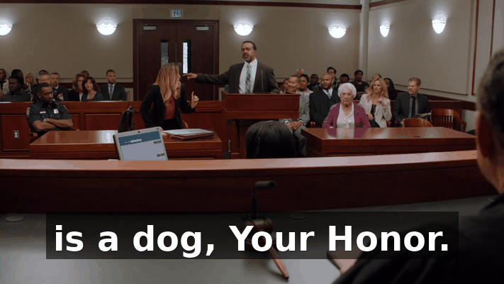 9a2e1fdf-52fe-4b0f-b929-bc0da9cf84e1.gif