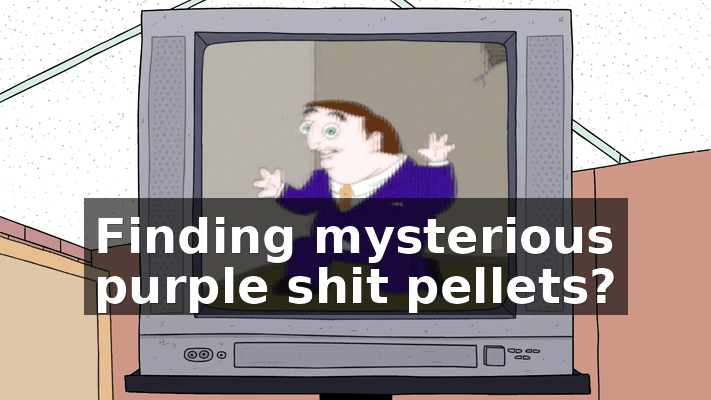 d27e0a60-c75c-444c-914c-454e5ea9930e.gif