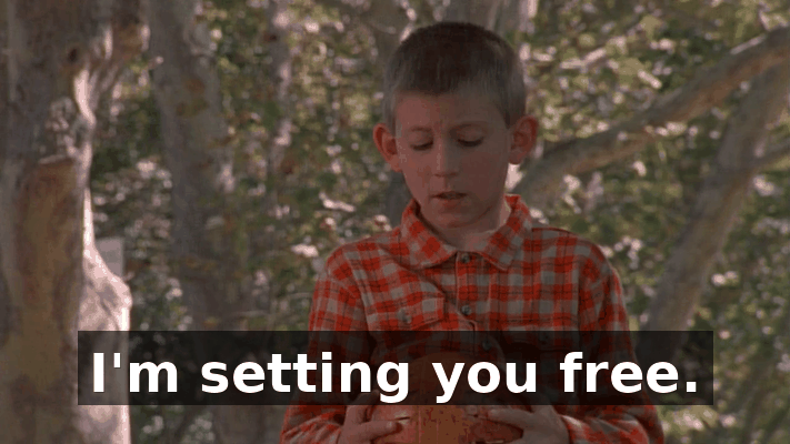 c5da7cf1-f818-4027-b20f-26ba744c4b40.gif