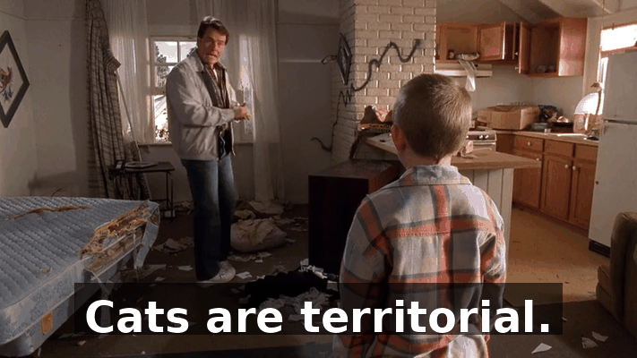 86a91f1a-0a7e-4245-8d0f-6ee12949d0f3.gif