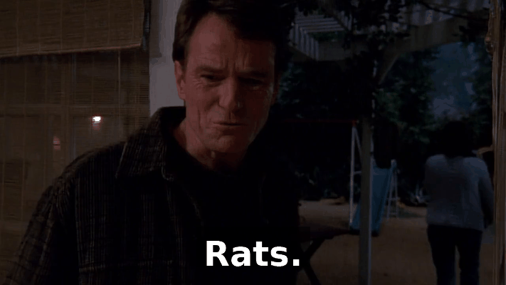 a654c12b-c567-4ae2-b11d-0b03be323b03.gif