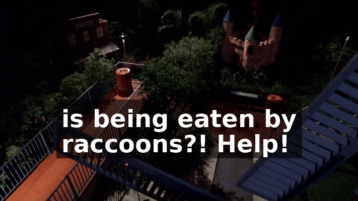 67d60247-5c0a-4af5-b846-14070c376b11.gif