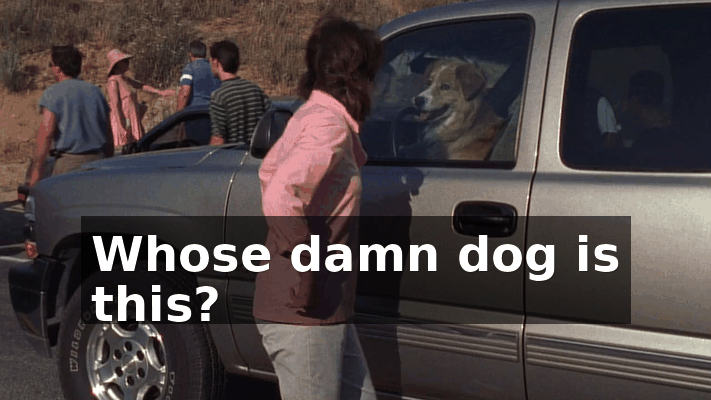 bd0e60dd-5485-4104-9942-b70772c6088d.gif