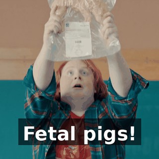 00025a35-b459-4b81-8984-abda932cca76.gif