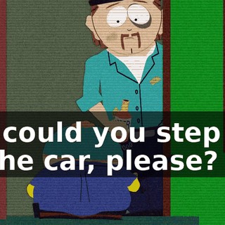 Sir, could you step out of the car, please?