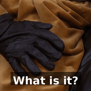 00323261-95bf-44bb-9883-160adf11e292.gif
