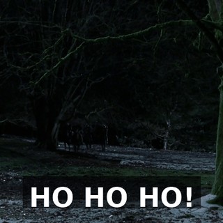 HO HO HO!