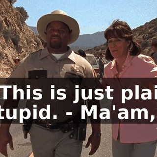 - This is just plain stupid. - Ma'am,