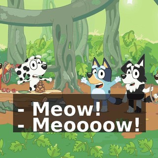 - Meow! - Meoooow!