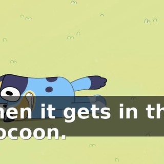 0105b7d8-fcdd-4785-adb3-1dcce88a2535.gif