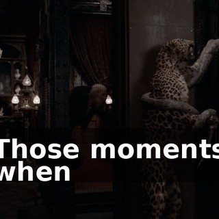 01092009-3a8f-4477-8b04-5618ee10bce7.gif