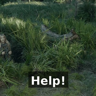 010cdb82-9a2e-4910-82be-0a57827de126.gif