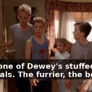and one of Dewey's stuffed animals. The furrier, the better.