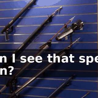 Can I see that spear gun?