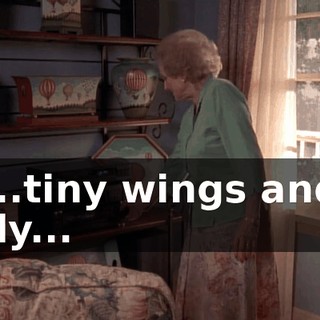 ♪ ...tiny wings and fly... ♪
