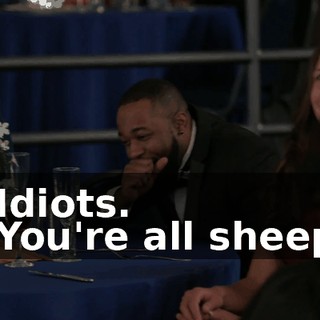 - Idiots. - You're all sheep!