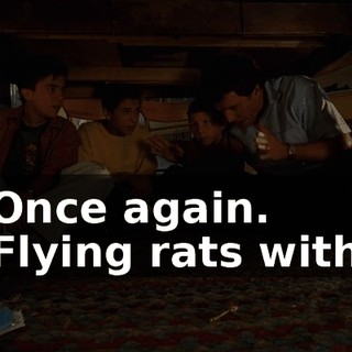 - Once again. - Flying rats with--