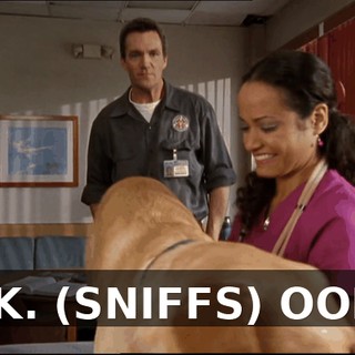 0199da84-63cb-4ecc-a837-2e83b117a790.gif