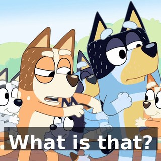 01c1085f-90f7-40c5-95be-8c9824321e89.gif
