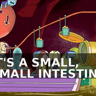 01c5b21c-e36e-4186-9fcd-179702a6e510.gif