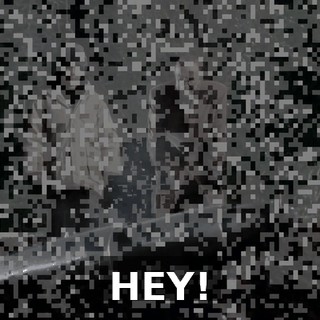 HEY!
