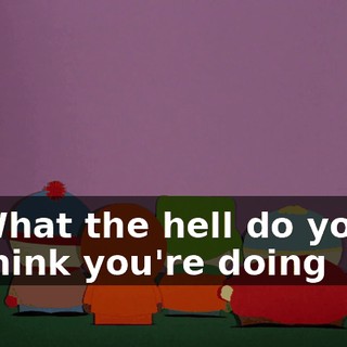 What the hell do you think you're doing