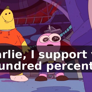 Charlie, I support you a hundred percent.