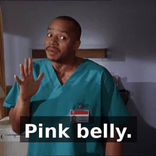 021a5dfe-b795-4fea-87e7-3a58049a80a3.gif