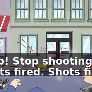 Stop! Stop shooting. Shots fired. Shots fired.