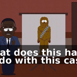 what does this have to do with this case?