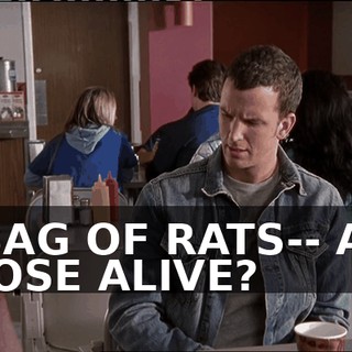 026af6e1-1bdb-48d0-843a-0948da4267c8.gif