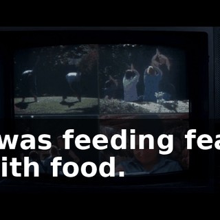 02776137-edc0-4233-8b77-135f5ae2b1e7.gif