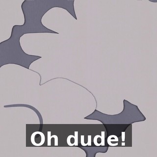 Oh dude!
