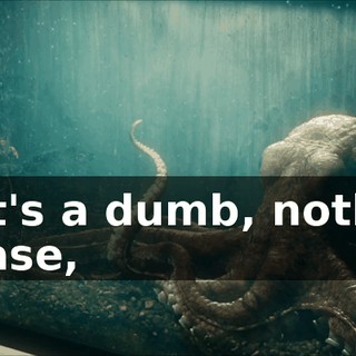 02971d6e-a2ad-4cf1-aae5-c7d4e9e5c8cb.gif