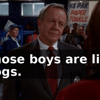 Those boys are like dogs.