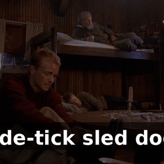 to de-tick sled dogs.