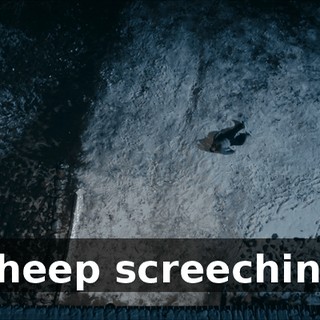 [sheep screeching]