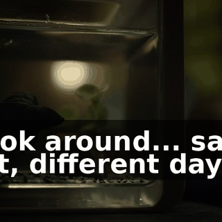 034b0fb4-e758-49c2-a85f-1a1d2cf5b954.gif