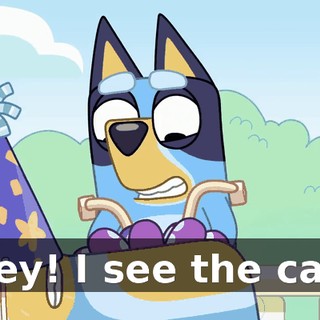 Hey! I see the cat!