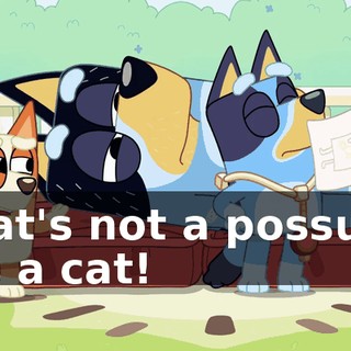 That's not a possum. It's a cat!
