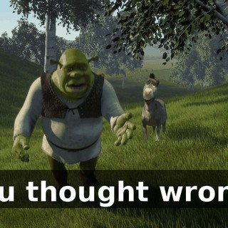 You thought wrong!